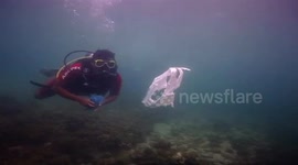 Scuba divers team up with Forest officials to clean Indian seas of garbage