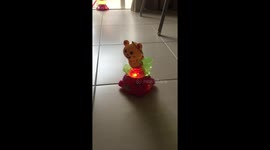 Cute lantern left alone turning