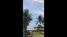 Incredible Solar Halo - Natural Phenomenon Rainbow Sun above the palm trees