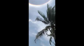 Incredible Solar Halo - Natural Phenomenon Rainbow Sun through the palm trees