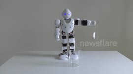 A domestic android humanoid robot helps brewing tea for his master by steeping a tea bag in boiling water in a glass cup