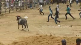 Two people died & 60 person injured in bullrace in southern India.