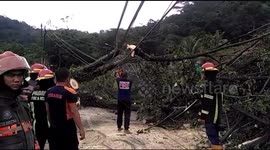 Fallen trees cause power outages in western Indonesia