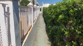 walking down a tight spanish corridor with bushes on one side and a gate/wall on the other