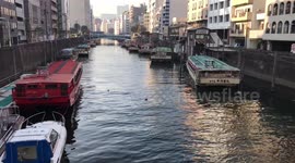 river boats in Tokyo on canal camera movement natural handheld pov shake