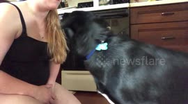 Beeper boops for treats