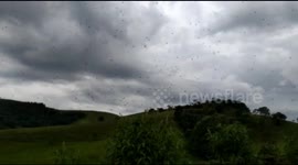 'Those aren't birds...' Spiders make gigantic web in Brazilian jungle