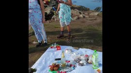 The first ever Birthday Celebration at the top of the mountain of Jendemsfjell 633 MASL.