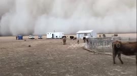 Sandstorm swallows up grasslands in northern China