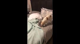 She's ready for bed