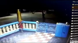 Cow mimics Hindu devotees by ringing sacred bell at Indian temple