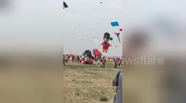 Bizarre kites flied over kite festival in China