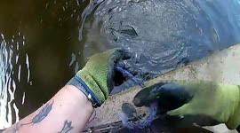 A keen angler swapped his rod because he was tired of never catching anything - and pulled a live fish in a duffel bag out of a canal on his first day MAGNET FISHING