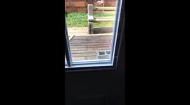 @clonagrace twitter. Puppy Video