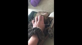 Cat Gets Chin Scratched