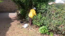 Local Community go Litter Picking in part with the Great British Spring Clean