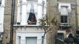 Dogs' alarm security