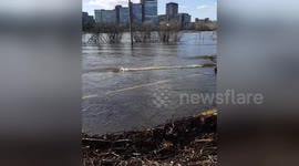 Newsflare Edit - Ottawa River flooding April 2019