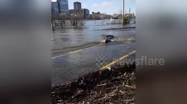 Flooding turns Canada car park into beach complete with tidal debris