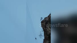 Monkey on wire! Amazing high-wire walking monkey spotted in south Thailand