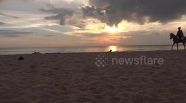 A dog relaxing on a beach and enjoying the sunrise.