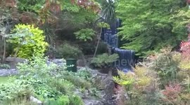 A tranquil waterfall in Hyde Park with spring flowers in bloom