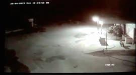 Leopard sneaks out of residential area in south India with dog in its mouth