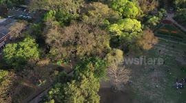 BIrds in Lodhi gardens