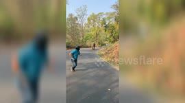 Charging elephant chases after tourists at preserve in northern India