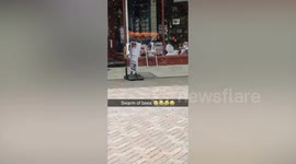 Shoppers fled after a swarm of ‘wild colony’ bees engulfed a high street - and covered a parked BIKE