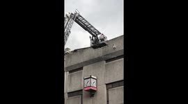 Liverpool firemen use crane to save flailing seagull stuck on side of a building