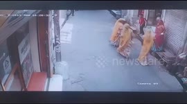 Terrifying moment raging bull rams into shoppers in northern India