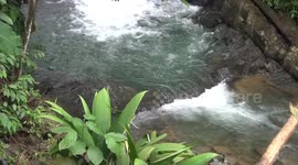 Cascada en medio de la selva