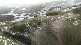 paramo