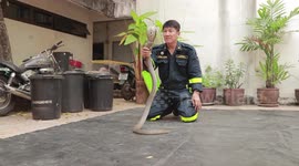 Brave fireman shows how to catch a cobra with bare hands