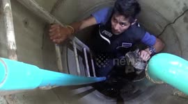 Cat rescued after spending three days stuck at the bottom of sewer in Thailand