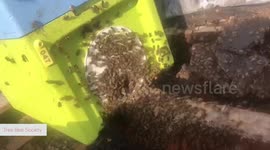 A 13th Century church was invaded by 50,000 bees, who lived under the eaves for so long they caused the roof to buckle