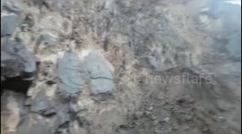 Tree fossil belonging to Mesozoic geological era found in Northern India.