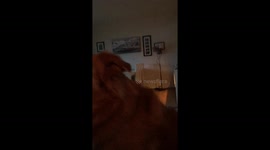 Cuddletime