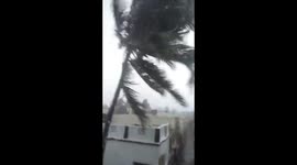 watch - Strong winds hit Puri district in Odisha as Cyclone Fani hits with wind speed around 150 km