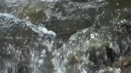 rio cristalino
