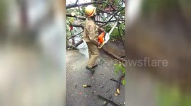 Fani cyclone land fall started today morning in India.