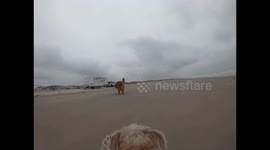 Rescue Pup’s First Time at the Ocean