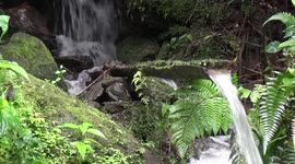 camino al pailon de ldiablo un hermoso adorno natural