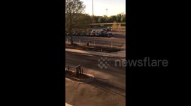 Protective papa goose attaches woman entering work