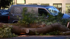 Huge tree falls on appropriately named van in London's Soho Square