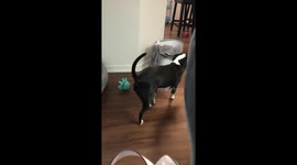 Slow creep to the water bowl