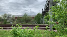 Flying Scotsman stops briefly before heading through Burton