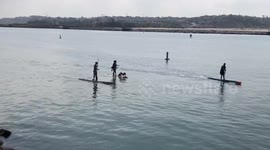 'Middle-aged in LA means going paddle-boarding with your dog!'