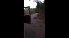 Give way to oncoming wildlife! Terrified driver reverses bus after spotting elephant